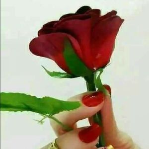 Meet your Posher, Adela